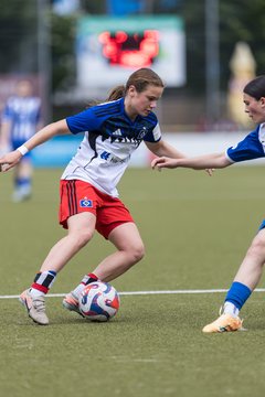 Bild 201 - wBJ Hamburger SV - FC Suederelbe : Ergebnis: 9:0